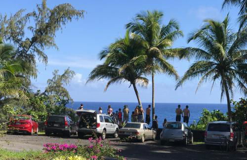 Coconut Palms Vacation Rental near lava fields and beaches - Foto 16