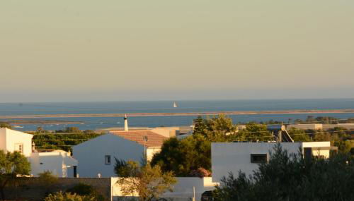 Quinta do Coelhoazul - Foto 5