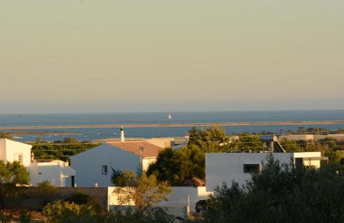 Quinta do Coelhoazul - Foto 5