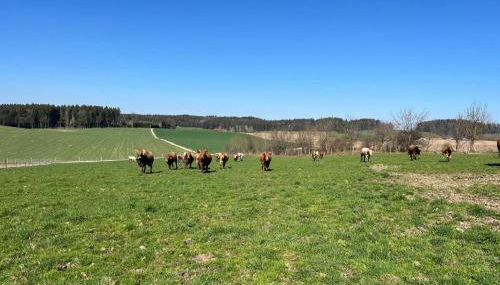 Biohof Liebhart - Photo 5