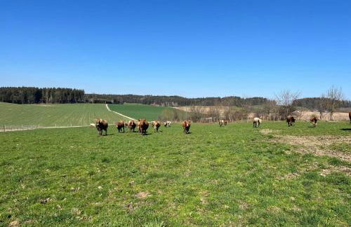 Biohof Liebhart - Photo 5