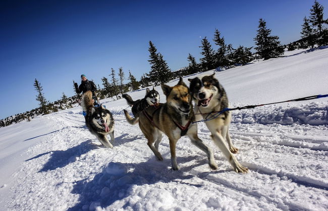 Ilsetra Hotell - Foto 17