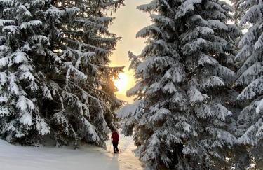 Fewo Längerer - Foto 22