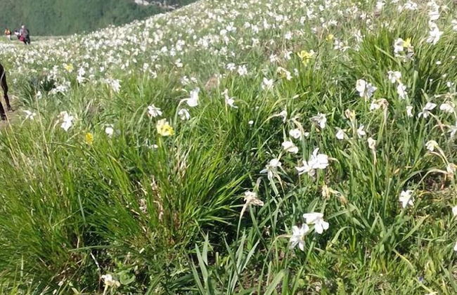 Belvilla by OYO Holiday Home With Garden - Foto 33