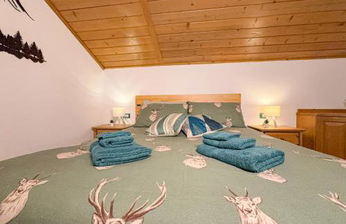 Begar Nest - ski slope front and panoramic - Photo 6