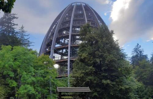 Blockhaus am Baumwipfelpfad - Foto 54