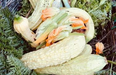 Agriturismo Prato del Re - Photo 78