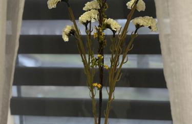 Apartment SaGo - Foto 10