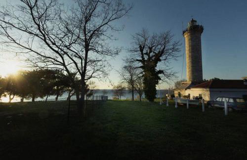 Put Maslina 7 - Foto 18