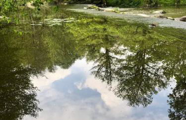 Maison Cosy Rénovée - Puy du Fou - Photo 17