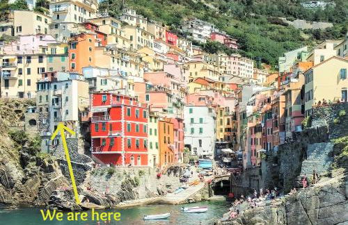 Apartment La Scogliera - Riomaggiore - Foto 20