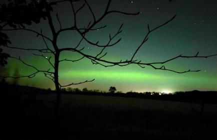 Old Tavern House - Foto 6