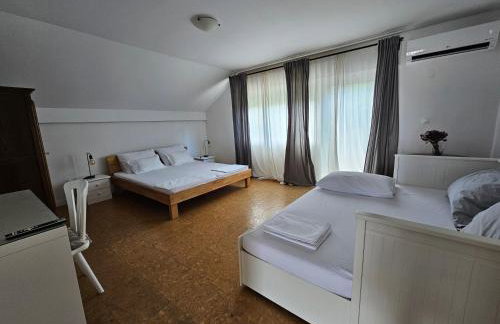 Sea Land 2 - Photo 59