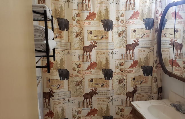 lazy bear cabins - Foto 45