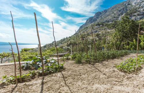 Apartment Kuzmanić - Foto 25