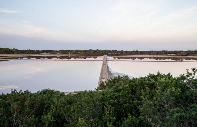 Cas Saliners - Ses Illetes - Foto 56