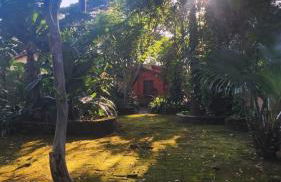 #casinhadasbananeiras - Foto 70