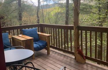 Cozy Cabin Smoky Mountains - Hot tub, pool, & golf - Foto 21