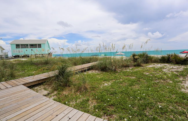 A Turtle View - Foto 45