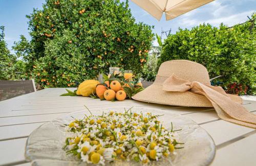 Olga's Organic garden Home for a couple! with Wifi & AC - Foto 24