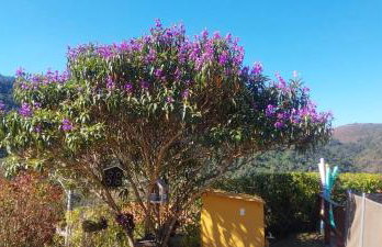 Temporada no Paraíso em Teresópolis - Foto 41