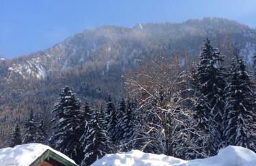 Ferienhütte in Ruhpolding - Foto 10