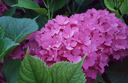 La Ferula Bed&Pool - Foto 36