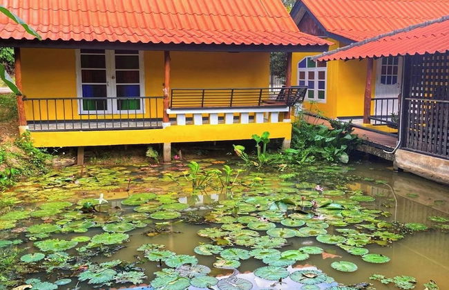 Nokkamin Home Chiang Dao - Photo 27