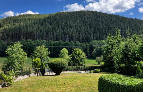 FeWo Obstfelderschmiede - Foto 8