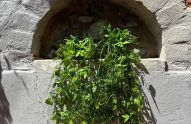 Small and Snug The Old Store - Foto 35