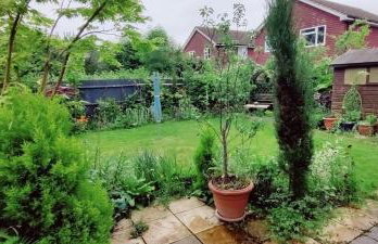 Willowbank - Photo 21