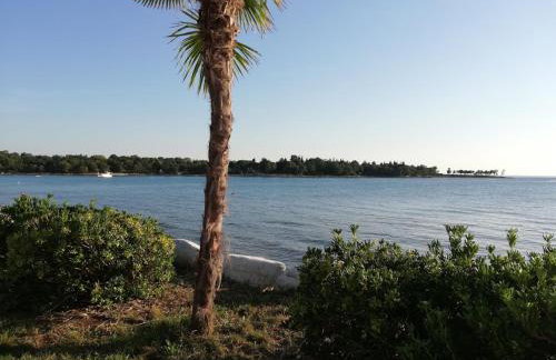 Apartments Oleander Lovrečica-residence with pool - Photo 49