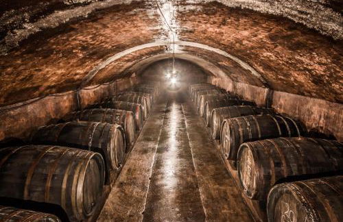 Ferienwohnungen Dr Wagner - Photo 16