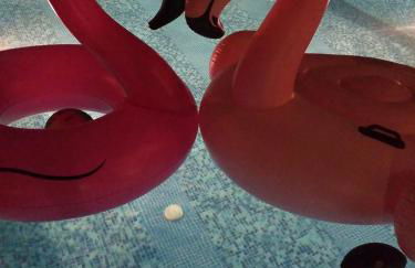 Evan's Studios - Foto 9