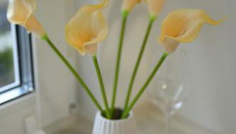 Wohnungen in Köln-Messe - Foto 5