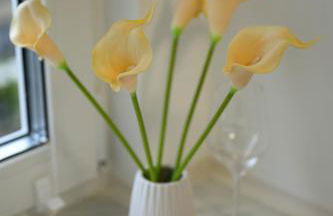 Wohnungen in Köln-Messe - Photo 5