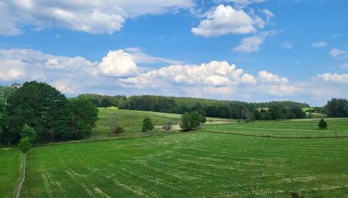 Ferienwohnung Strobl - Photo 4