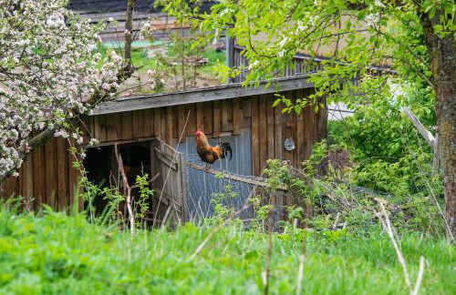 Gut Tausendbachl - Foto 7