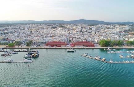 Seahorse Luxury Apartment with Pool and Seaview - Photo 33