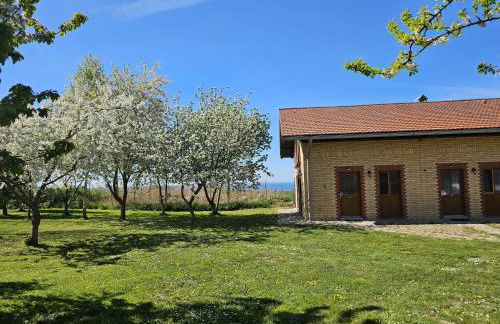 Hof am Meer "Seestern" - Foto 32