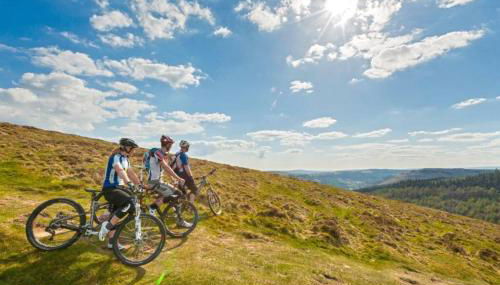 Garden Suburbs Cottage - Photo 5