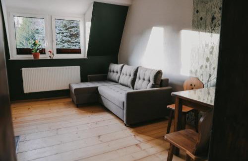 Szczytny Zakątek Apartamenty - Foto 20