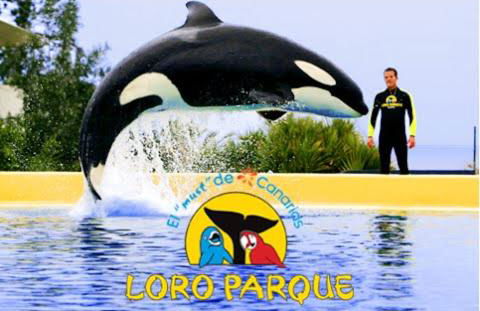 La Favorita - Foto 25