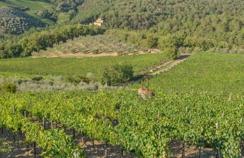 Awesome Apartment In Il Ferrone - Foto 20