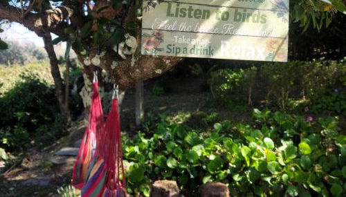 Casa Rubio - Foto 2, Garden