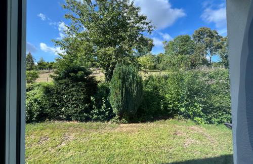 FeWo Weserblick - Foto 17