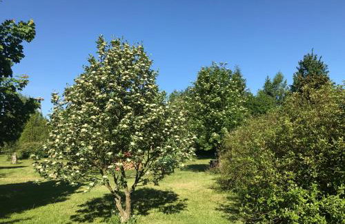 Andrzejówka - Photo 71