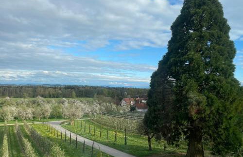 Bergchalet Mirabell - Hofgut - Foto 35