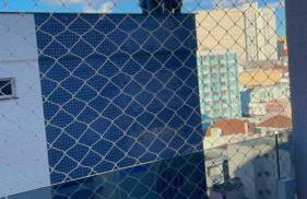 AP1011 Gray Eleven - Foto 50