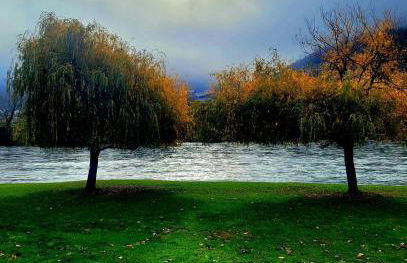 DÚPLEX DUQUESA - Foto 46